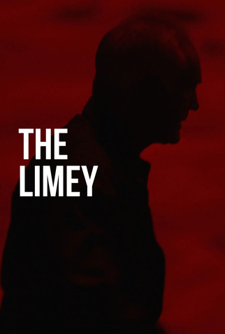 Poster 6 de Filme O Estranho (1999)