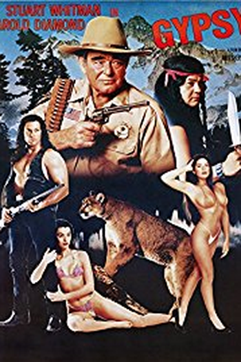 Poster de Filme Gypsy (1990)