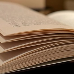 Foto de perfil de Silvando Ferreira