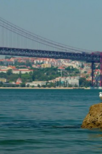 Poster de Episódio Episódio 226 (2023)