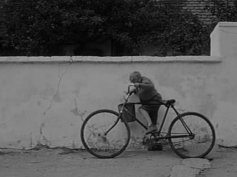 Foto 6 de Viva a República