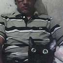 Foto de perfil de Luiz Felipe