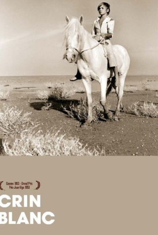 Poster 4 de Filme O Cavalo Branco (1953)