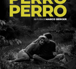 Perro Perro