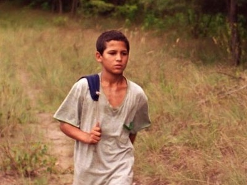 Foto 1 de Apenas o Vento