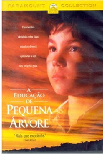  de Filme A Educação de Pequena Árvore (1997)