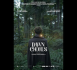 Dawn Chorus