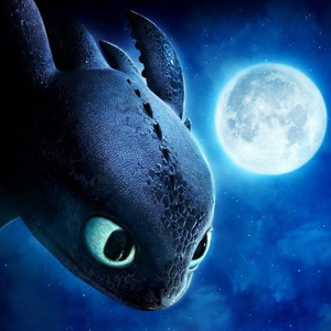 Foto de perfil de Furia da noite