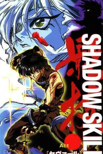 Poster de Filme Shadow Skill (1995)