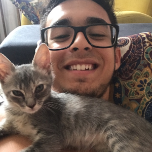 Foto de perfil de Augusto