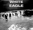 The White Eagle