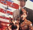 O Cão de Guerra