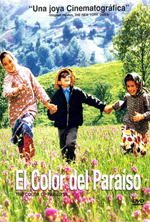 A Cor do Paraíso - Poster / Capa / Cartaz - Oficial 11