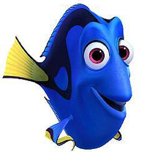 Foto de perfil de Henry