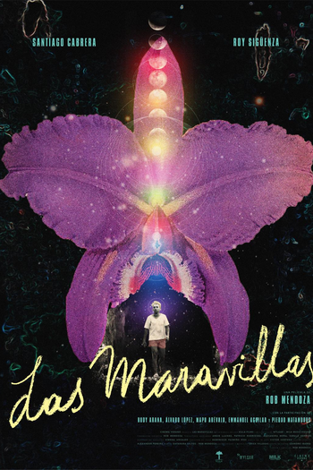Poster de Curta Back to Las Maravillas (2024)
