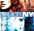 CSI: Nova Iorque (5ª Temporada)