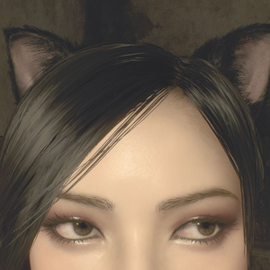 Foto de perfil de Miyuki