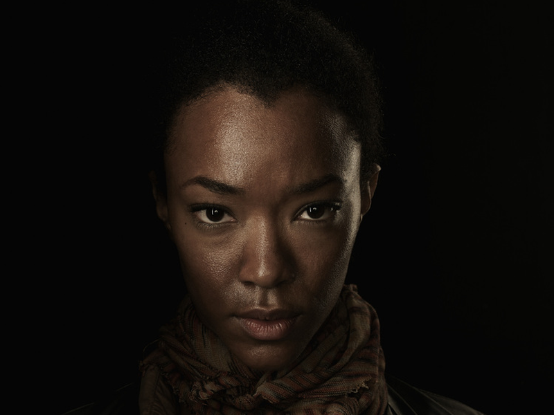 Foto 12 de The Walking Dead (4ª Temporada)