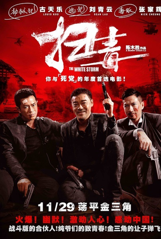 Poster 2 de Filme Tempestade Branca (2013)