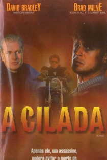 A Cilada - Poster / Capa / Cartaz - Oficial 1