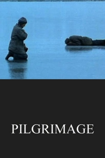 Poster de Curta Peregrinação (2001)