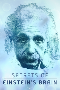 A mente de Einstein - Poster / Capa / Cartaz - Oficial 1