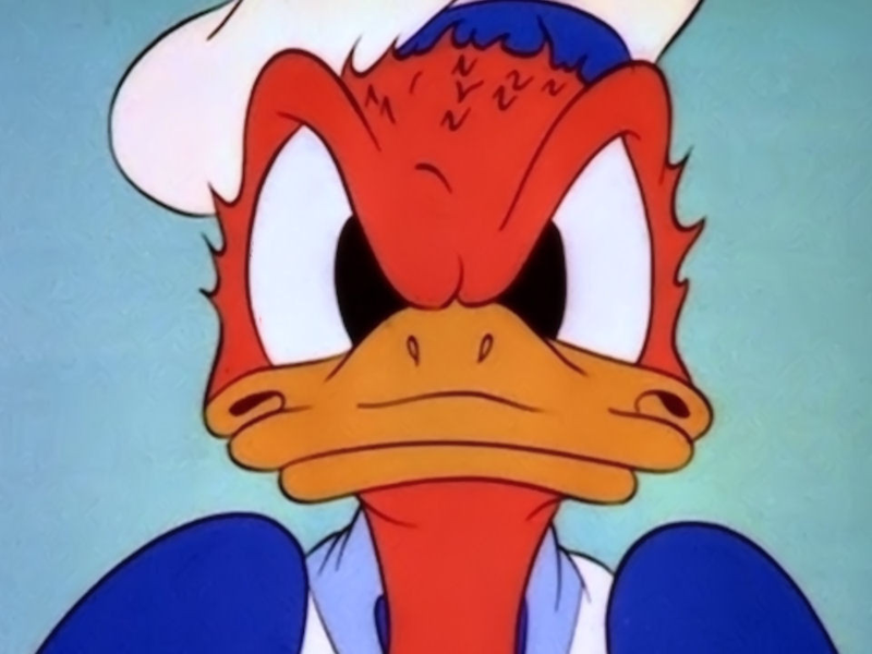 Foto 1 de Auto-Controle