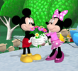 A Surprise for Minnie