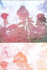 Piedra de Sol (The Sun Quartet, Part 1: Piedra de Sol)