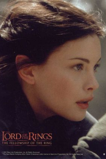  de Filme O Senhor dos Anéis: A Sociedade do Anel (2001)