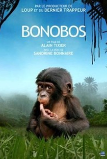 Bonobos - Poster / Capa / Cartaz - Oficial 1