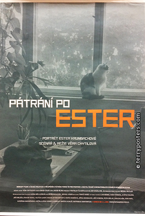 Em busca de Ester - Poster / Capa / Cartaz - Oficial 1