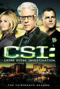 CSI: Investigação Criminal (13ª Temporada) - Poster / Capa / Cartaz - Oficial 1