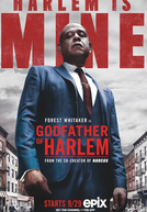 Godfather of Harlem (1ª Temporada) (Godfather of Harlem (Season 1))