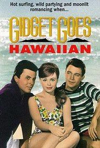 Poster 2 de Filme Férias no Hawai (1961)