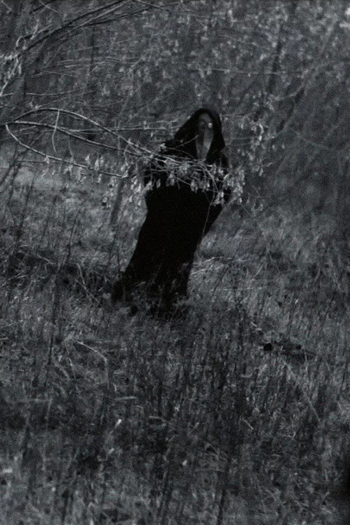 Poster de Curta 11B-3-1369 (2015)