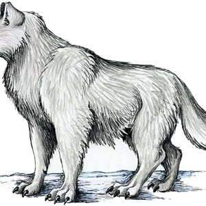 Foto de perfil de Allan