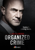 Lei e Ordem: Crime Organizado (1ª Temporada)