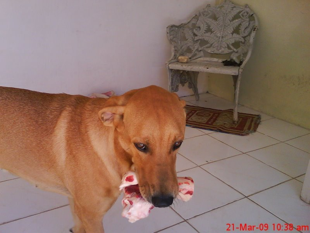 Thaysa Cezar - Foto 2