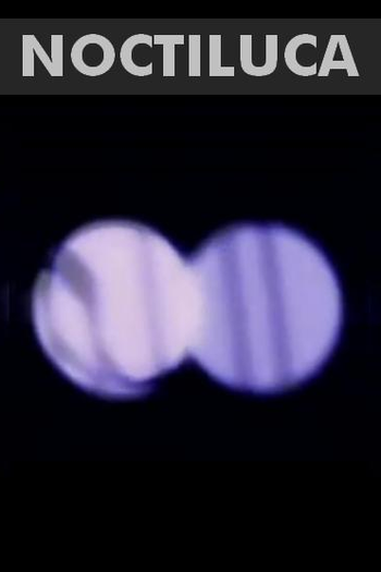 Poster de Curta Noctiluca (1974)