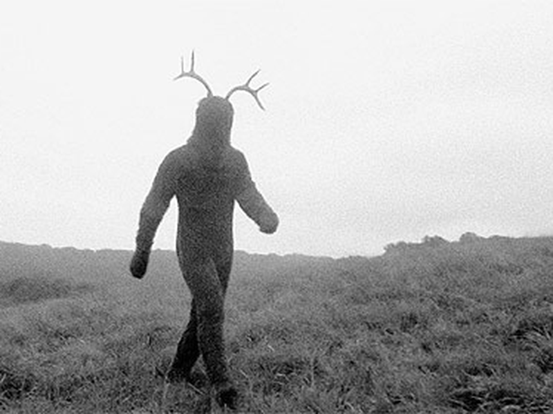 Foto 9 de The Beast Pageant 