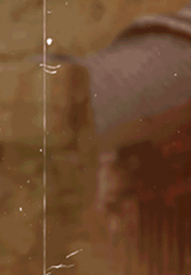 Vai pra Cuba, Eduardo (Vai pra Cuba, Eduardo)