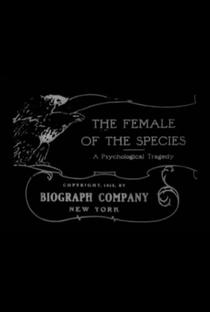 The Female of the Species - Poster / Capa / Cartaz - Oficial 2