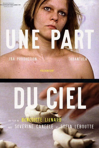 Poster 1 de Filme Um Pouco do Céu (2002)