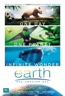 Terra: Um Dia Incrível - Poster / Capa / Cartaz - Oficial 1