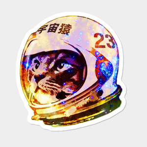 Foto de perfil de odysseycat