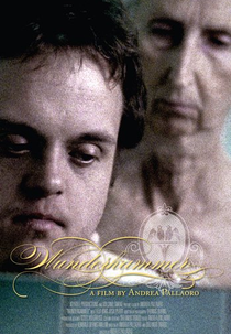 Wunderkammer (Wunderkammer)