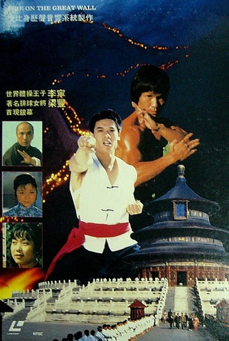 Poster 4 de Filme Ninja: O Último Dragão (1987)