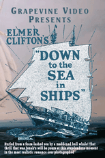 Rumo ao Mar (Down to the Sea in Ships)