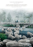Sweetgrass (Sweetgrass)